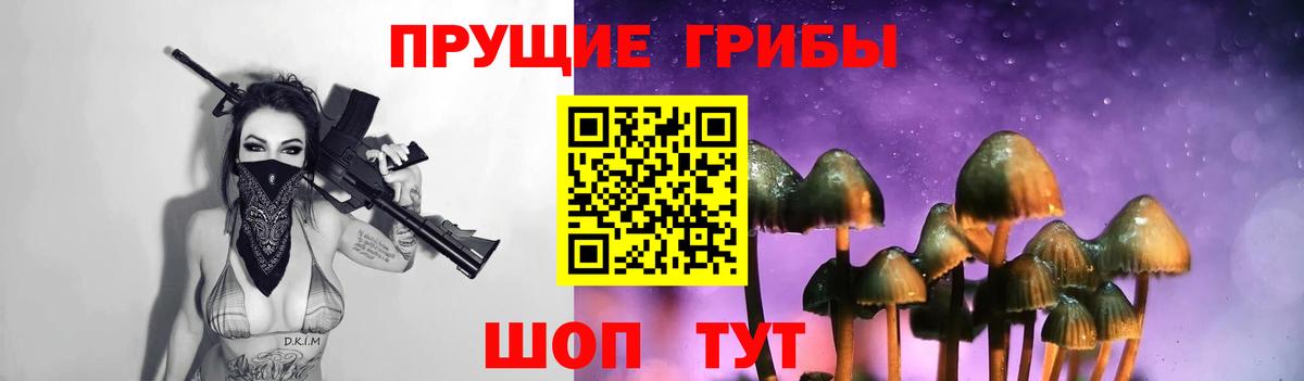 Галлюциногенные грибы Psilocybine cubensis Зеленокумск